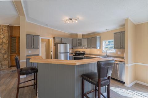 29171 Blue Springs Road Meadowview Va 24361, Meadowview, VA 24361 photo 4