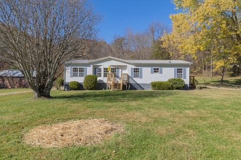 29171 Blue Springs Road Meadowview Va 24361, Meadowview, VA 24361 photo 1