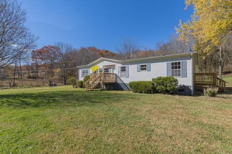 29171 Blue Springs Road Meadowview Va 24361, Meadowview, VA 24361 photo 2