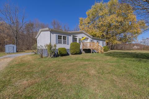 29171 Blue Springs Road Meadowview Va 24361, Meadowview, VA 24361 photo 3