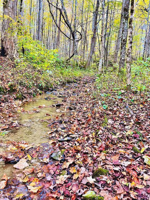 321 Old Clarktown Road Hampton Tn 37658, Hampton, TN 37658 photo 3