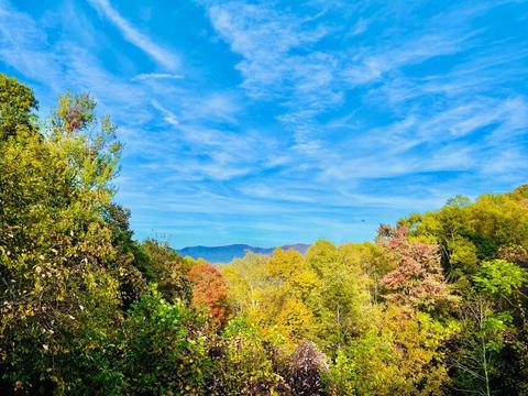 321 Old Clarktown Road Hampton Tn 37658, Hampton, TN 37658 photo 106