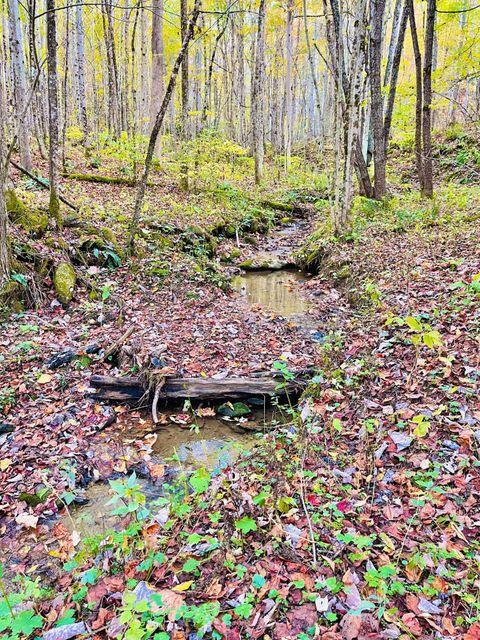 321 Old Clarktown Road Hampton Tn 37658, Hampton, TN 37658 photo 4