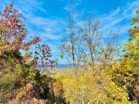 321 Old Clarktown Road Hampton Tn 37658, Hampton, TN 37658 photo 113