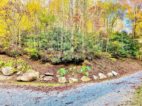 321 Old Clarktown Road Hampton Tn 37658, Hampton, TN 37658 photo 6