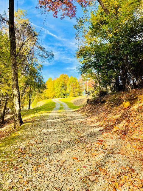 321 Old Clarktown Road Hampton Tn 37658, Hampton, TN 37658 photo 11