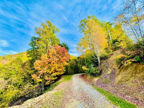 321 Old Clarktown Road Hampton Tn 37658, Hampton, TN 37658 photo 8