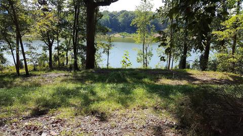 2808 Devault Bridge Road Piney Flats Tn 37686, Piney Flats, TN 37686 photo 1