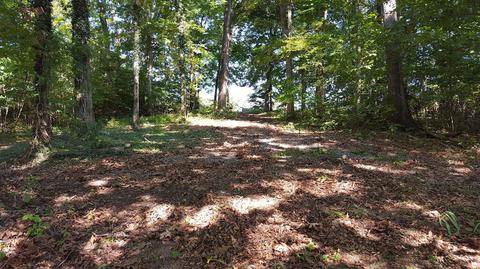 2808 Devault Bridge Road Piney Flats Tn 37686, Piney Flats, TN 37686 photo 3