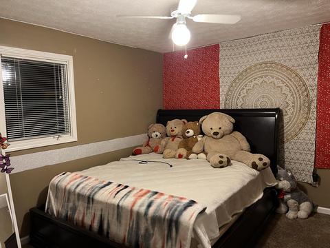 132 Whitson Road Gray Tn 37615, Gray, TN 37615 photo 27