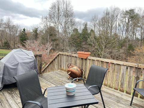 132 Whitson Road Gray Tn 37615, Gray, TN 37615 photo 63