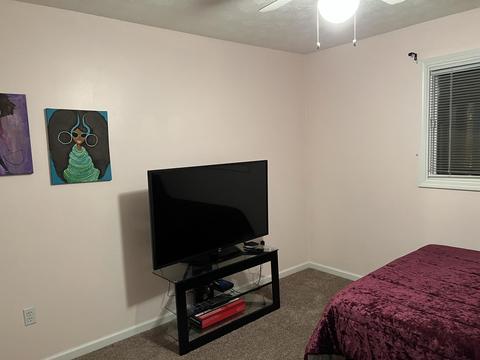 132 Whitson Road Gray Tn 37615, Gray, TN 37615 photo 32
