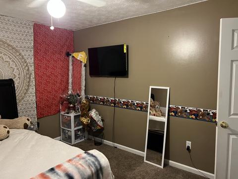 132 Whitson Road Gray Tn 37615, Gray, TN 37615 photo 29