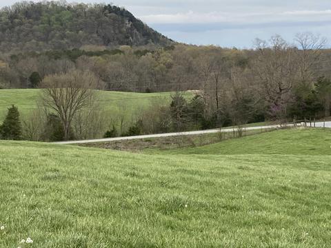 109 Acres Gap Creek Road Bulls Gap Tn 37711, Bulls Gap, TN 37711