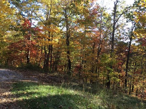 tbd Hiram Hollow Road Wise Va 24293, Wise, VA 24293