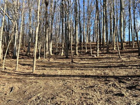 9 Booher Road, Jonesborough, TN 37659