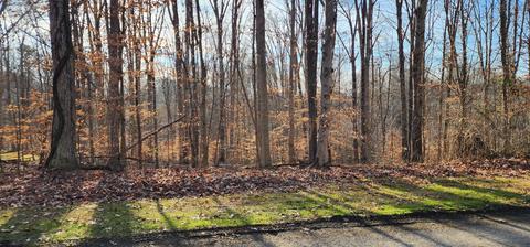 tbd Davis Court Surgoinsville Tn 37873, Surgoinsville, TN 37873