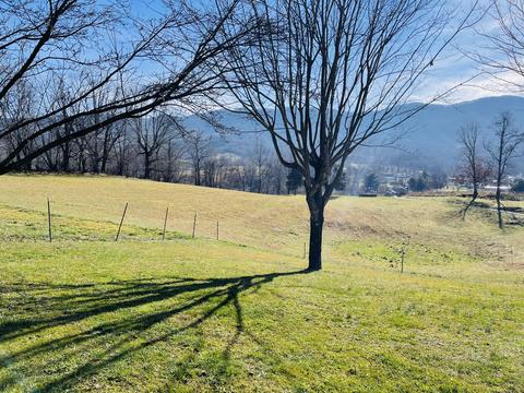 5264 Mountain Road Cedar Bluff Va 24609, Cedar Bluff, VA 24609 photo 9