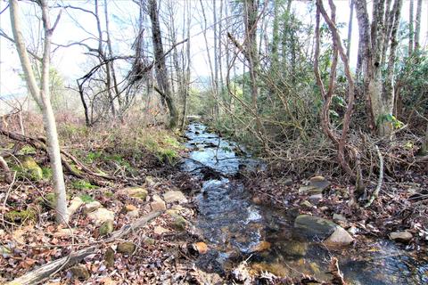 000 Orchard Road Shady Valley Tn 37688, Shady Valley, TN 37688