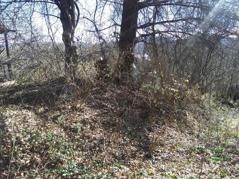 tbd Perryville Road Saltville Va 24370, Saltville, VA 24370