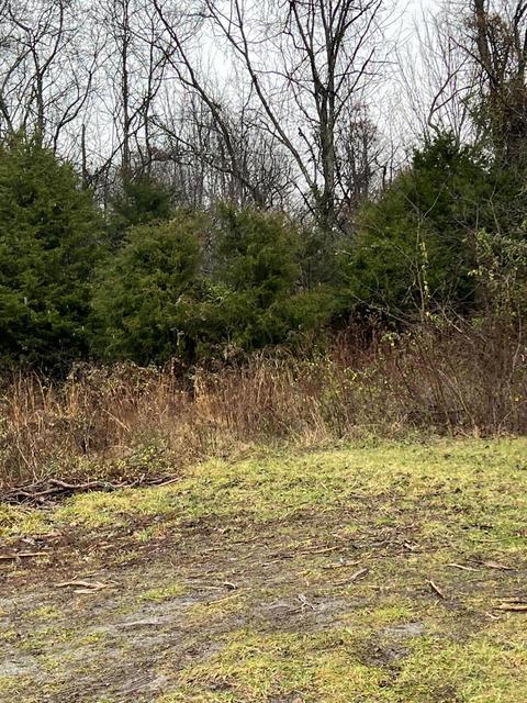 208 Judge Baines Road Fall Branch Tn 37656, Fall Branch, TN 37656 photo 1