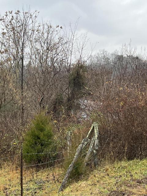 208 Judge Baines Road Fall Branch Tn 37656, Fall Branch, TN 37656 photo 3