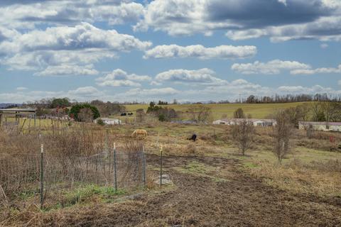 878 Bowmantown Road Limestone Tn 37681, Limestone, TN 37681 photo 26
