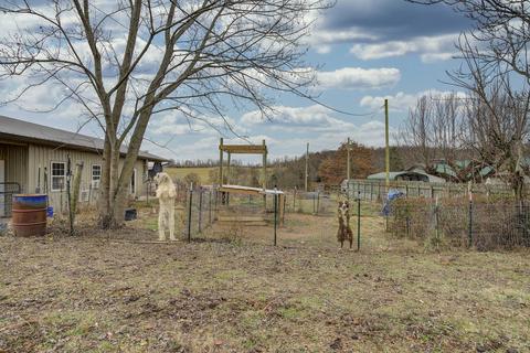 878 Bowmantown Road Limestone Tn 37681, Limestone, TN 37681 photo 15