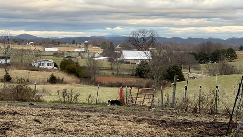 878 Bowmantown Road Limestone Tn 37681, Limestone, TN 37681 photo 33