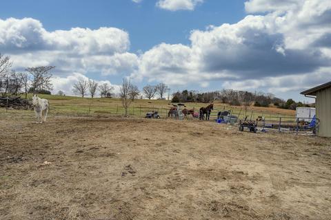 878 Bowmantown Road Limestone Tn 37681, Limestone, TN 37681 photo 13
