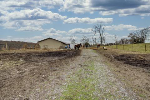 878 Bowmantown Road Limestone Tn 37681, Limestone, TN 37681 photo 21