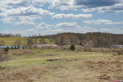 878 Bowmantown Road Limestone Tn 37681, Limestone, TN 37681 photo 24