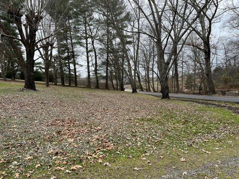630 Martin Road Limestone Tn 37681, Limestone, TN 37681 photo 19