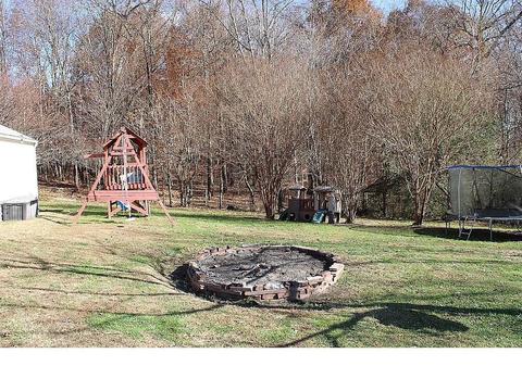 235 Rector Lane Limestone Tn 37681, Limestone, TN 37681 photo 38