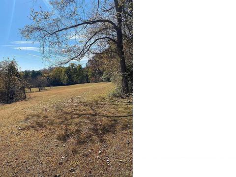 235 Rector Lane Limestone Tn 37681, Limestone, TN 37681 photo 49