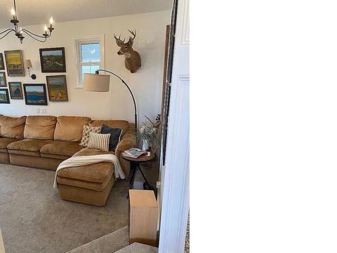 235 Rector Lane Limestone Tn 37681, Limestone, TN 37681 photo 30