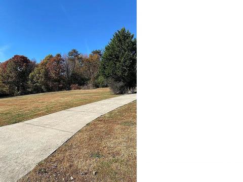 235 Rector Lane Limestone Tn 37681, Limestone, TN 37681 photo 48