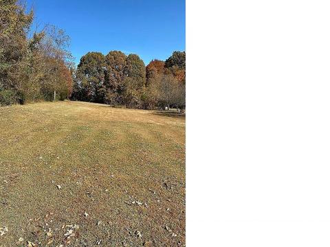 235 Rector Lane Limestone Tn 37681, Limestone, TN 37681 photo 54
