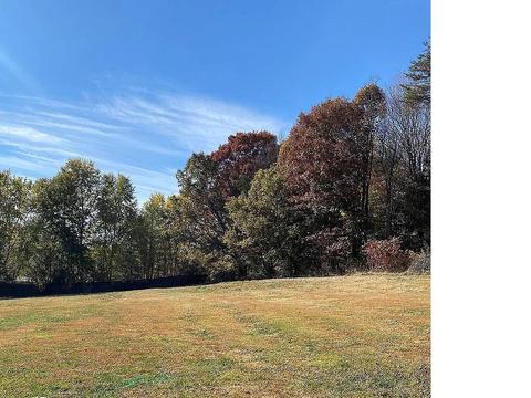 235 Rector Lane Limestone Tn 37681, Limestone, TN 37681 photo 52
