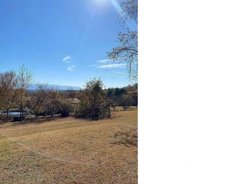 235 Rector Lane Limestone Tn 37681, Limestone, TN 37681 photo 51