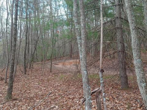 00 Buckshot Lane Mountain City Tn 37683, Mountain City, TN 37683