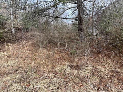 25924 Us Highway 23 Duffield Va 24244, Duffield, VA 24244 photo 12