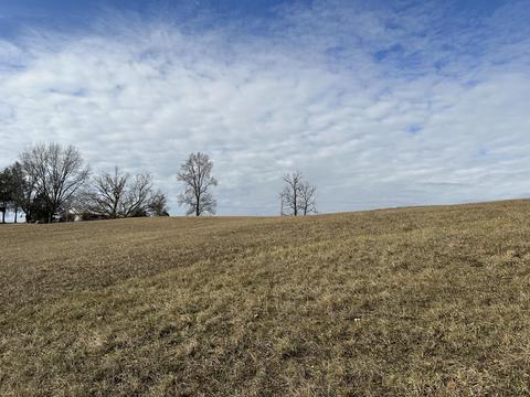 lot6 Rheatown Road Chuckey Tn 37641, Chuckey, TN 37641