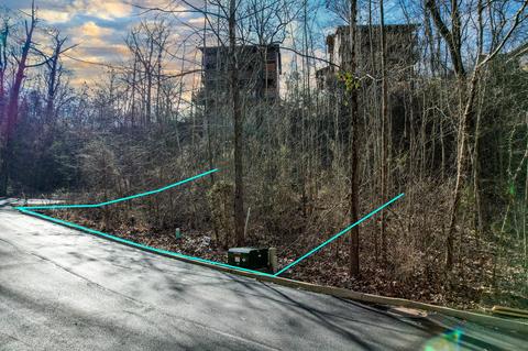 lot144 Alpine Village Way Pigeon Forge Tn 37863, Pigeon Forge, TN 37863