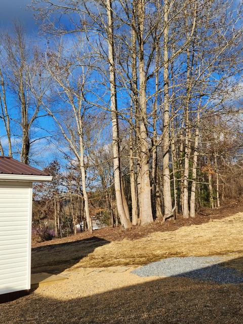 107 Masters St Extension Erwin Tn 37650, Erwin, TN 37650 photo 7