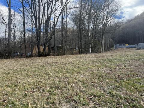 220 Echo Ridge Road Erwin Tn 37650, Erwin, TN 37650 photo 9