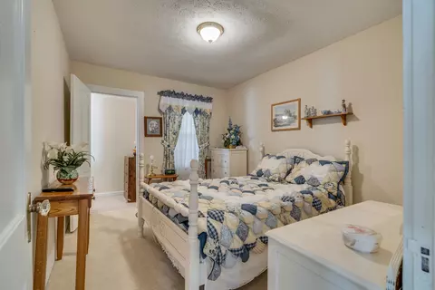 425 Brook Street Damascus Va 24236, Damascus, VA 24236 photo 19