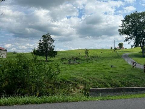 tbd Telford School Road Limestone Tn 37681, Limestone, TN 37681