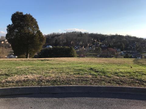1081 Wellington Boulevard Kingsport Tn 37660, Kingsport, TN 37660