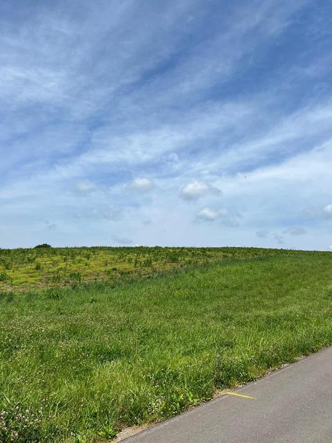 lot12 Meadow View Road Rogersville Tn 37857, Rogersville, TN 37857